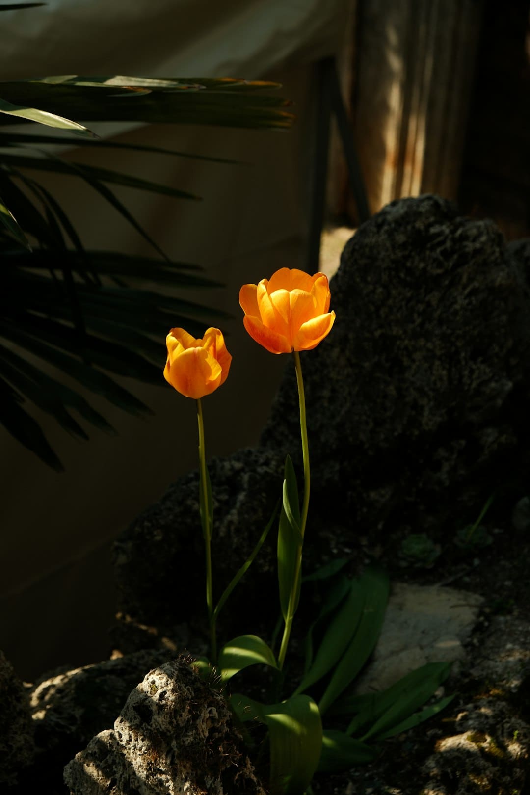 商业头条No.90